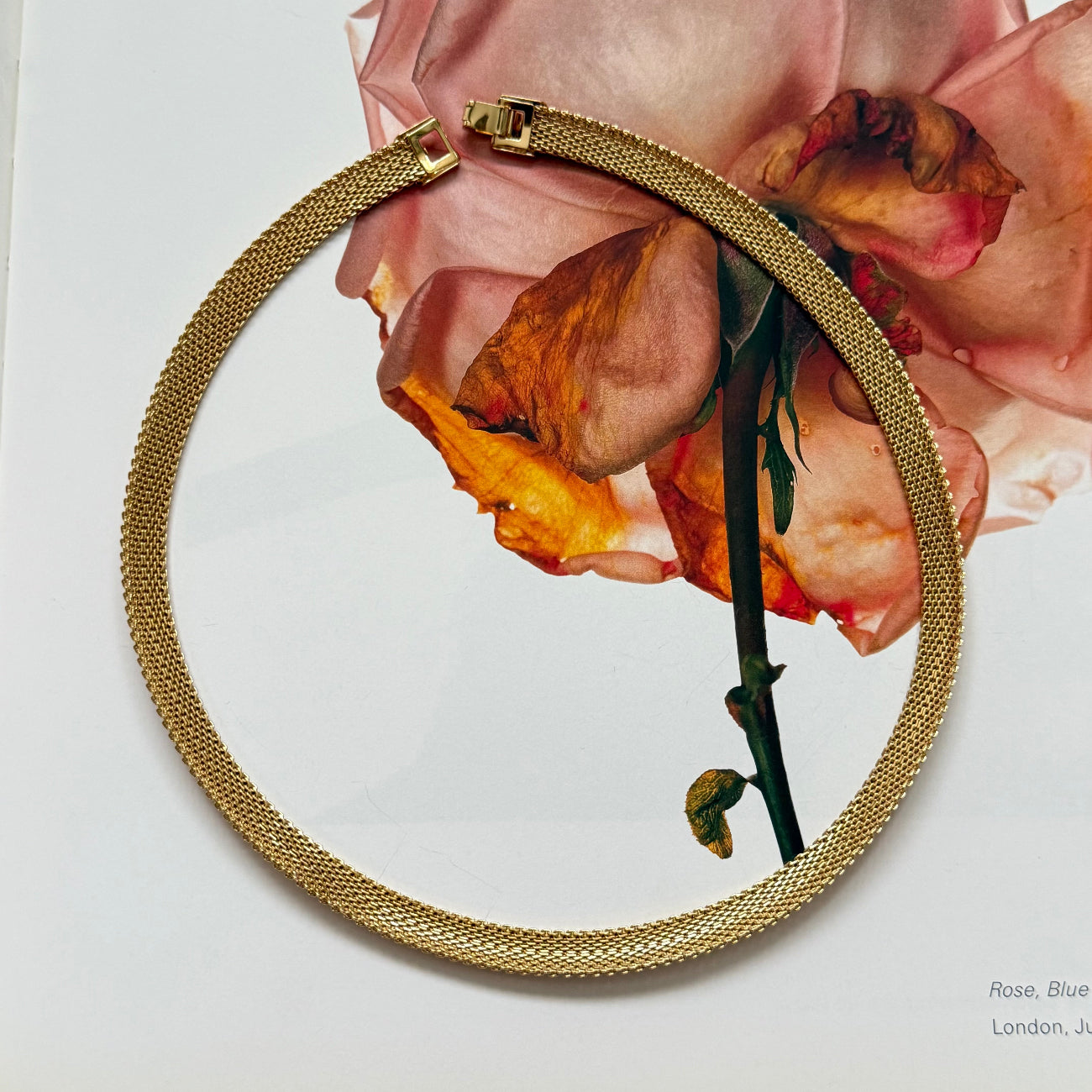 Vintage 80s Gold-toned Thin Omega Link Choker Necklace