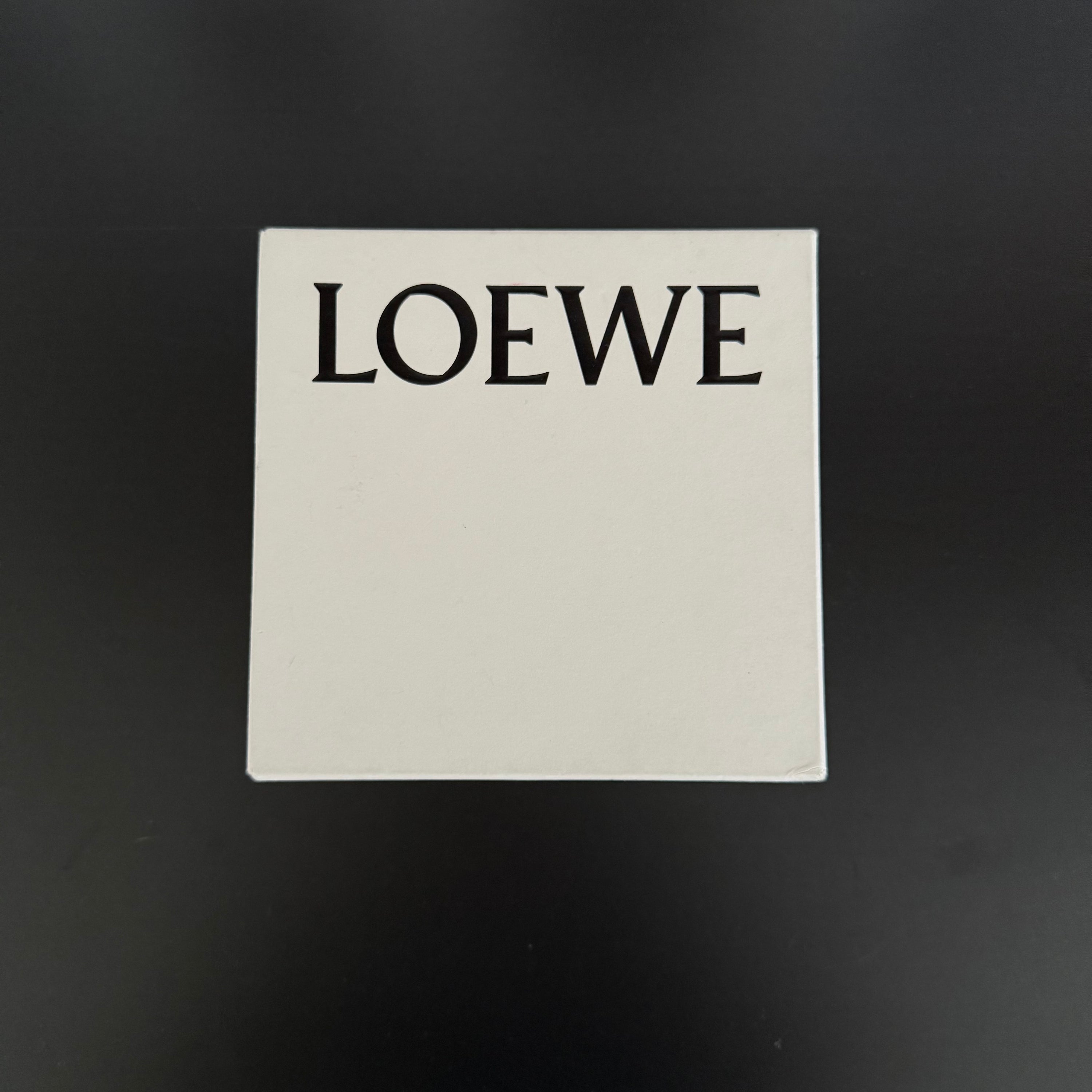 LOEWE Leather Wavy Braided Thick Bag Strap